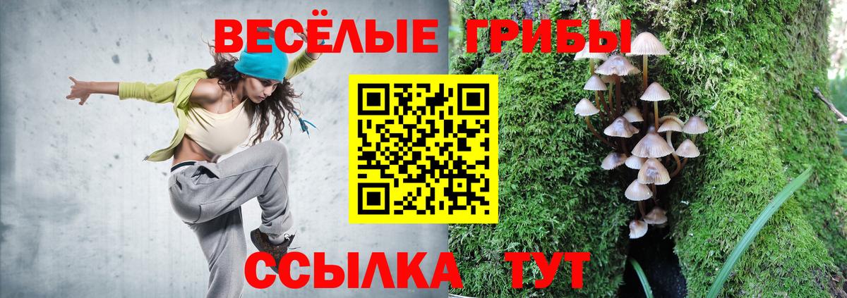 Галлюциногенные грибы Cubensis  Вход с VPN  Кумертау  Галлюциногенные грибы Psilocybe 